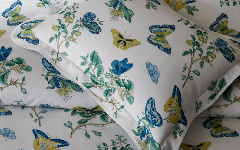 Baudin Butterfly Shams & Cases | + Colors