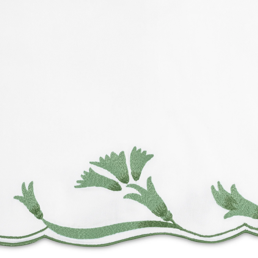 Marcella Collection | + Colors