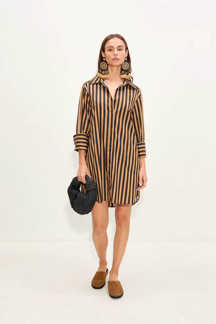 Kena Mini Dress | Black & Tan Stripe