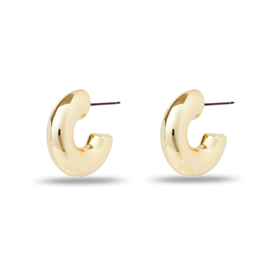 Chunky Small Hoop Earrings – Charlotte's Inc