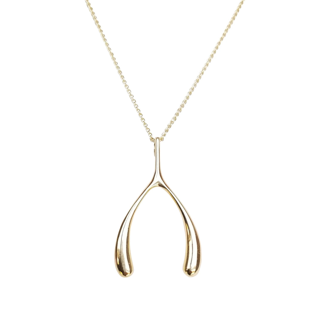 Lucky Gold Wishbone Pendant on Delicate Chain