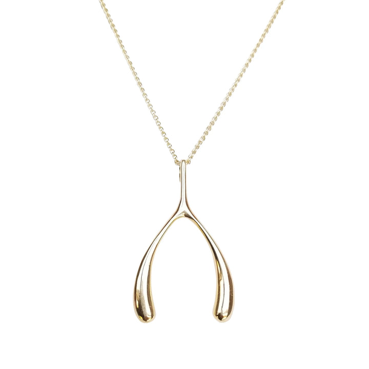 Lucky Gold Wishbone Pendant on Delicate Chain