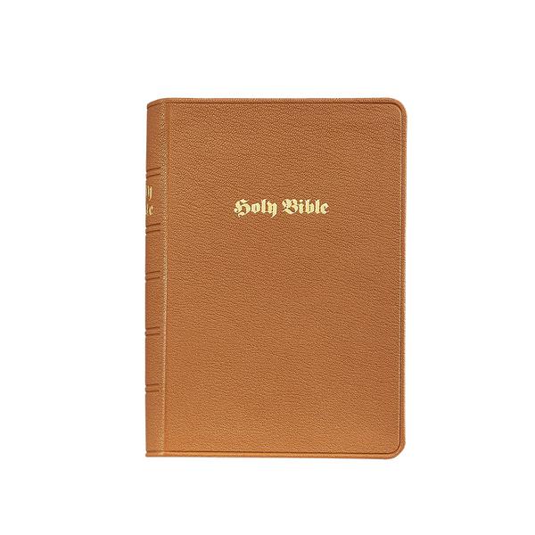 Leather Holy Bible