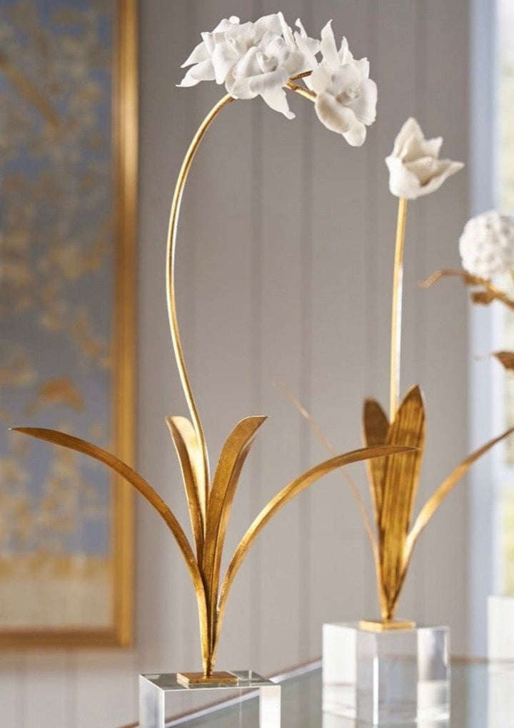 Orchid in a Stand with Acrylic Base - Charlotte's Inc