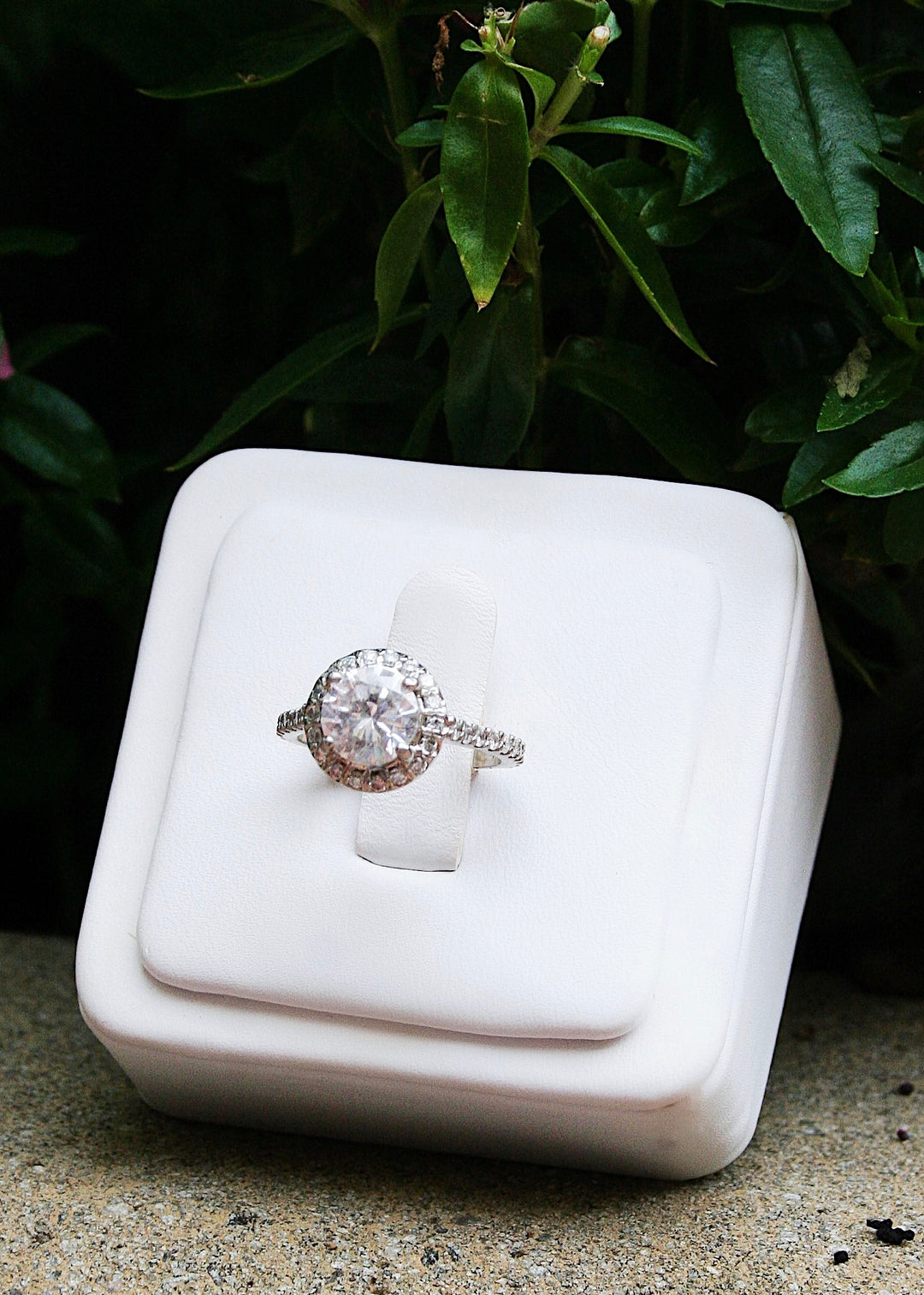 Diamond Engagement Ring Setting