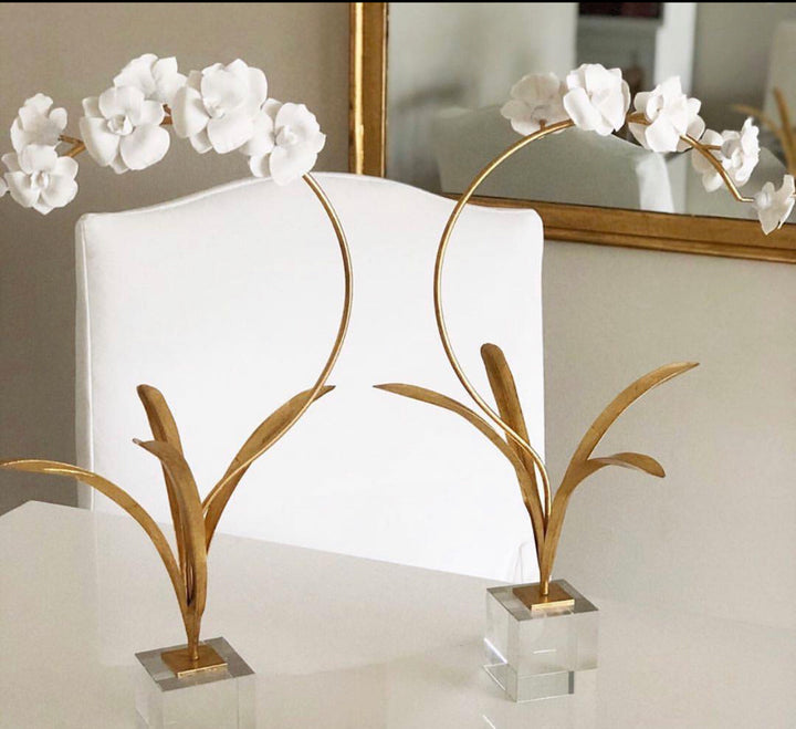 Orchid in a Stand with Acrylic Base - Charlotte's Inc