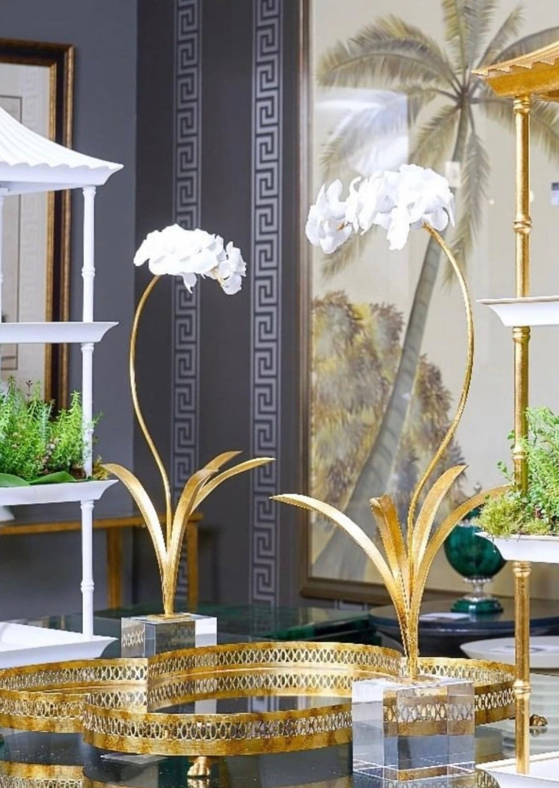 Orchid in a Stand with Acrylic Base – Charlotte's Inc