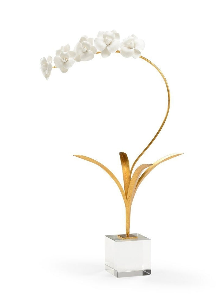 Orchid in a Stand with Acrylic Base - Charlotte's Inc